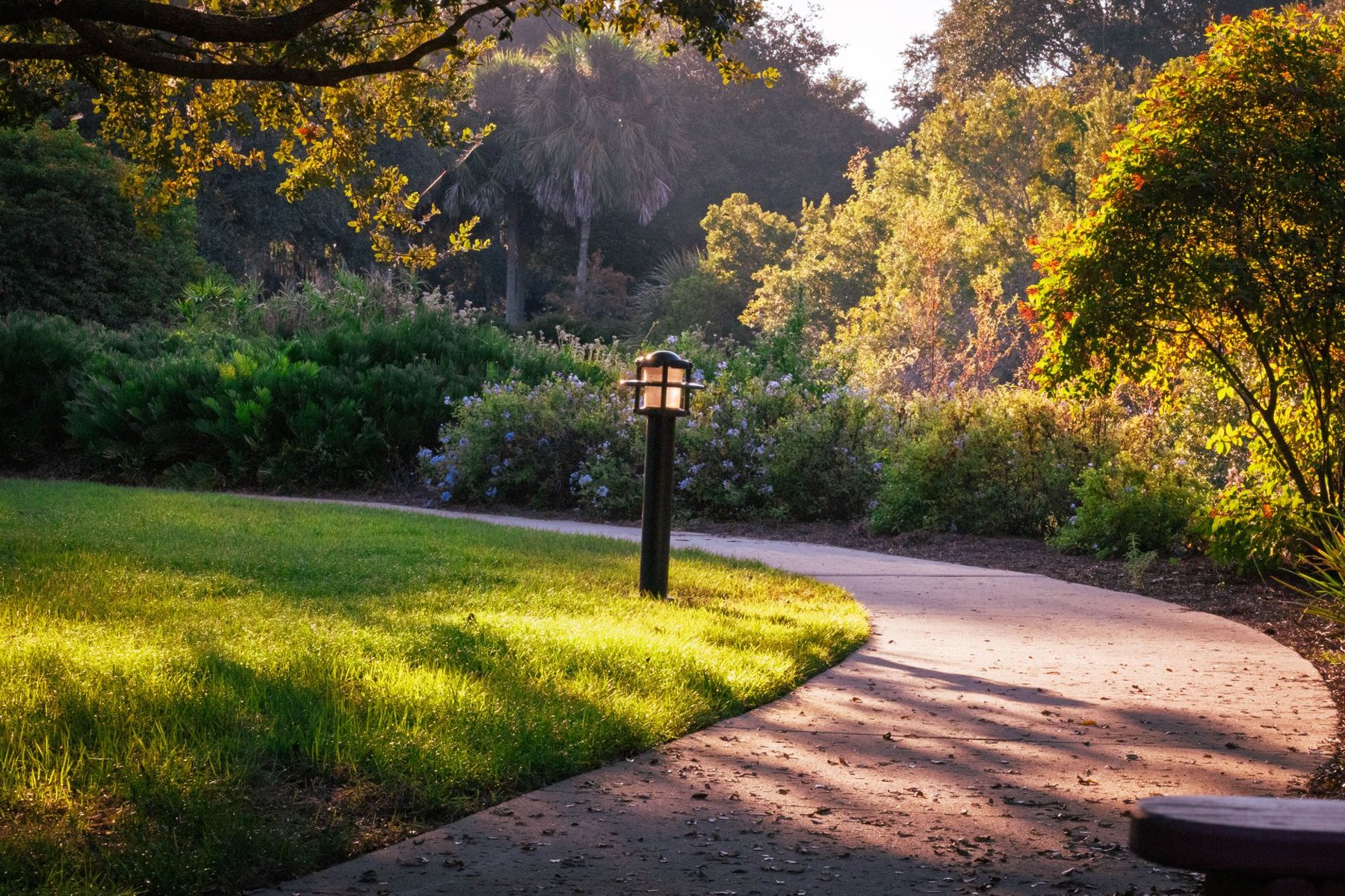 Landscape Lighting in Gilbert AZ