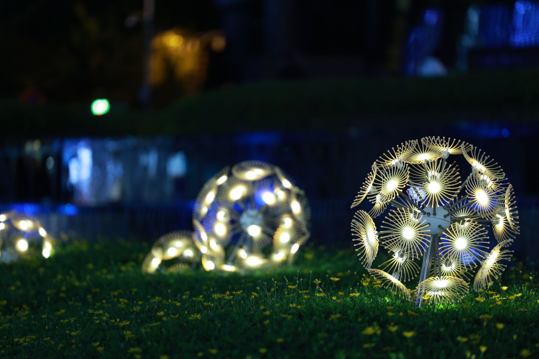 Landscape lighting at dusk in Gilbert, AZ