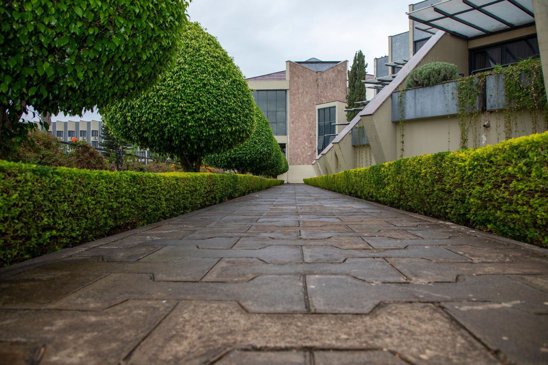 Travertine pavers & hardscape in Gilbert, AZ
