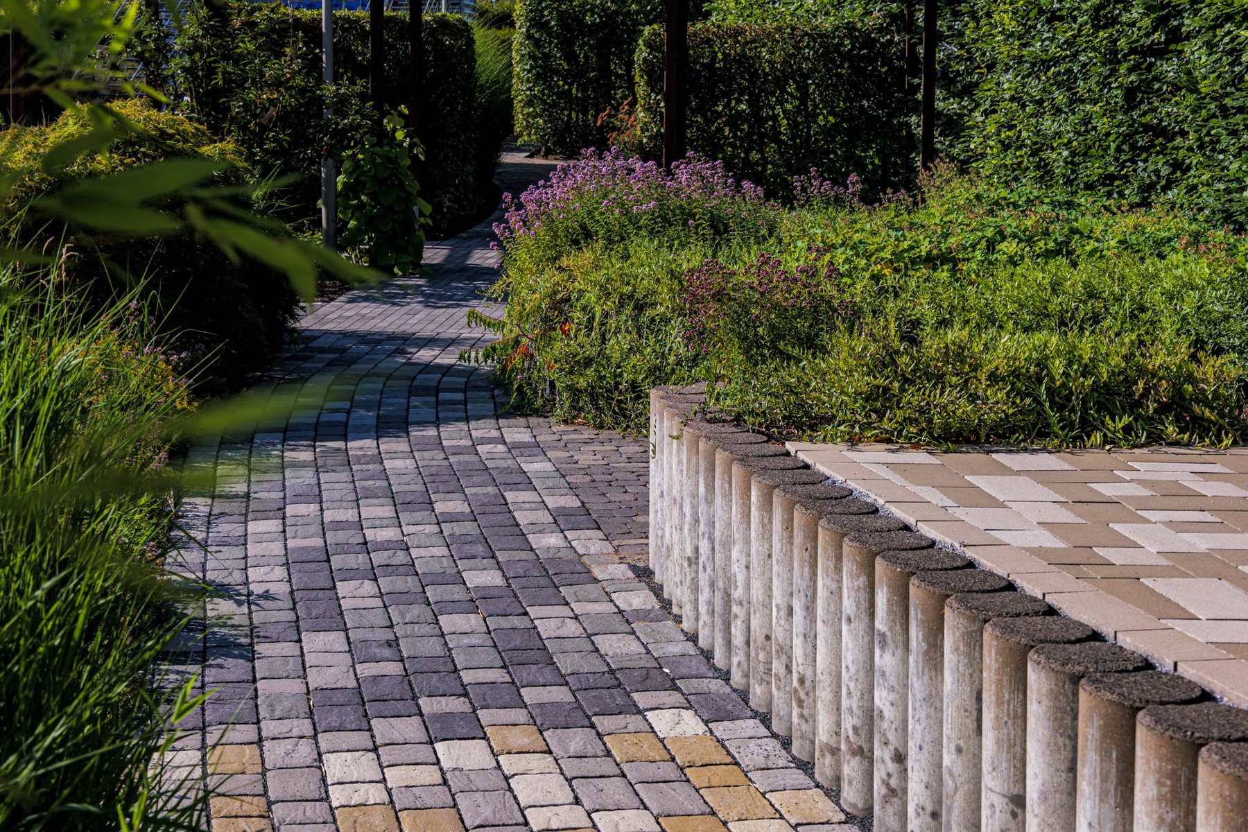 Desert xeriscape design in Gilbert, AZ